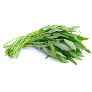 Povíjnice Vodní 200G