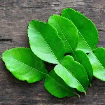 Fresh Lime Leaves 100G (TH)