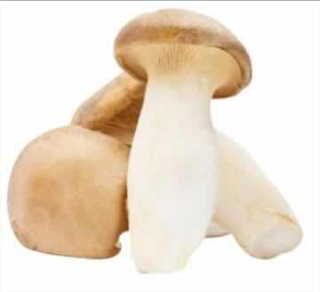 Mushroom Eryngii 4000G