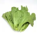 Kai Choy/Mustard Cabbage Spain 8Kg/Box