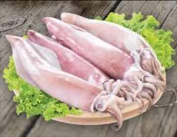 Mực trứng  nguyên con hộp 1 kg 