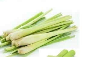 Xả cây đá 200 g 