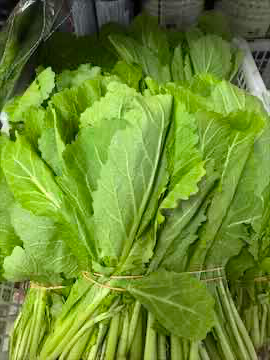 Cải canh trồng ở Séc bán theo bó