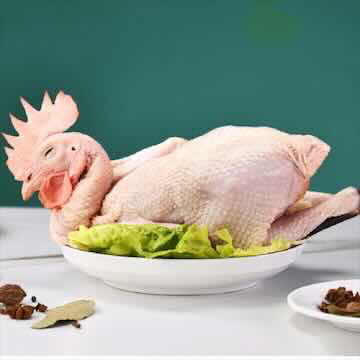 Gà Trống 1,5-1.7 kg 