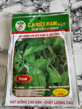 Hạt giống rau dền xanh 20 g 