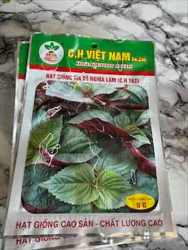 Hạt giống rau tía tô 20 g 