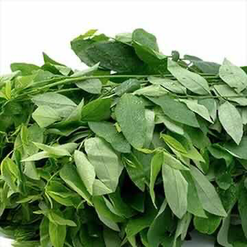 [VEG125] Pak Wan/Sauropus 200G