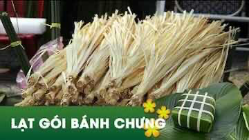 [VEG204hn] Bamboo Wire 1000G