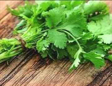 [EU196c] Coriander Spain 2,5Kg/Box