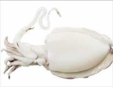 Mực U1 nguyên con to 