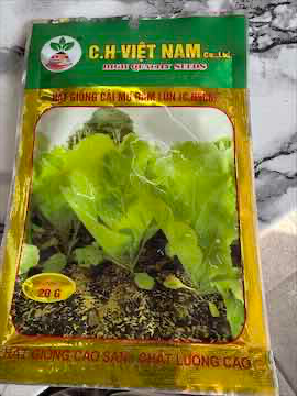 Hạt giống cải canh 20 g