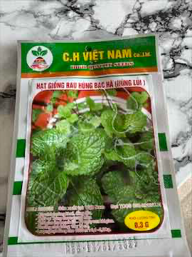 Hạt giống rau húng lủi - mất 20 g