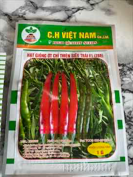 Hạt giống ớt quả đỏ cay 