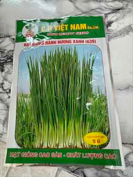 Hạt giống hành lá 20 g