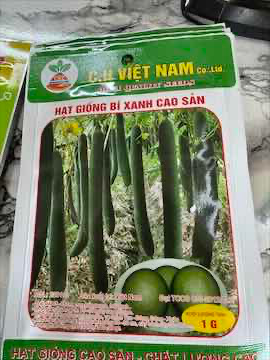 Hạt giống bí xanh 20 g