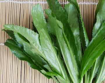 Hạt giống rau mùi tàu 20 g